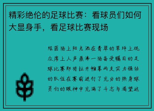 精彩绝伦的足球比赛：看球员们如何大显身手，看足球比赛现场